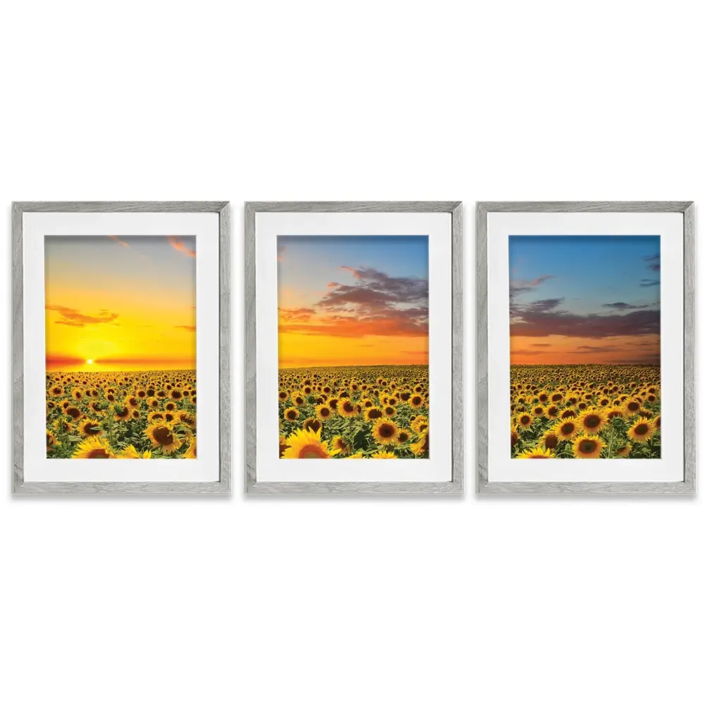 Field Of Blooming Sunflowers Framed Art Print Trio Field Of Blooming Sunflowers Framed Art Print Trio wall art product gornjak / Shutterstock