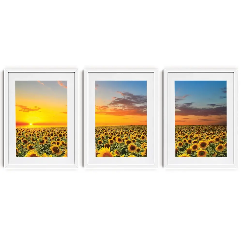 Field Of Blooming Sunflowers Framed Art Print Trio Field Of Blooming Sunflowers Framed Art Print Trio wall art product gornjak / Shutterstock
