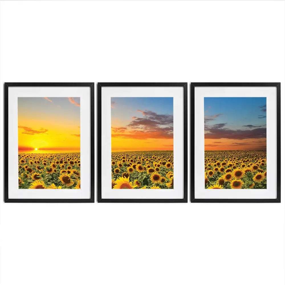 Field Of Blooming Sunflowers Framed Art Print Trio Field Of Blooming Sunflowers Framed Art Print Trio wall art product gornjak / Shutterstock