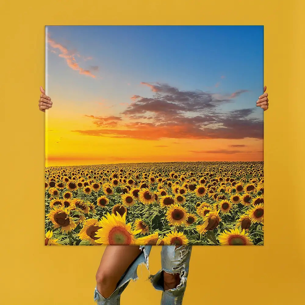 Field Of Blooming Sunflowers Oversized Canvas Print Field Of Blooming Sunflowers Oversized Canvas Print wall art product Art Print Shop