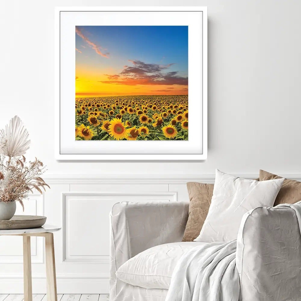 Field Of Blooming Sunflowers Square Framed Art Print Field Of Blooming Sunflowers Square Framed Art Print wall art product gornjak / Shutterstock