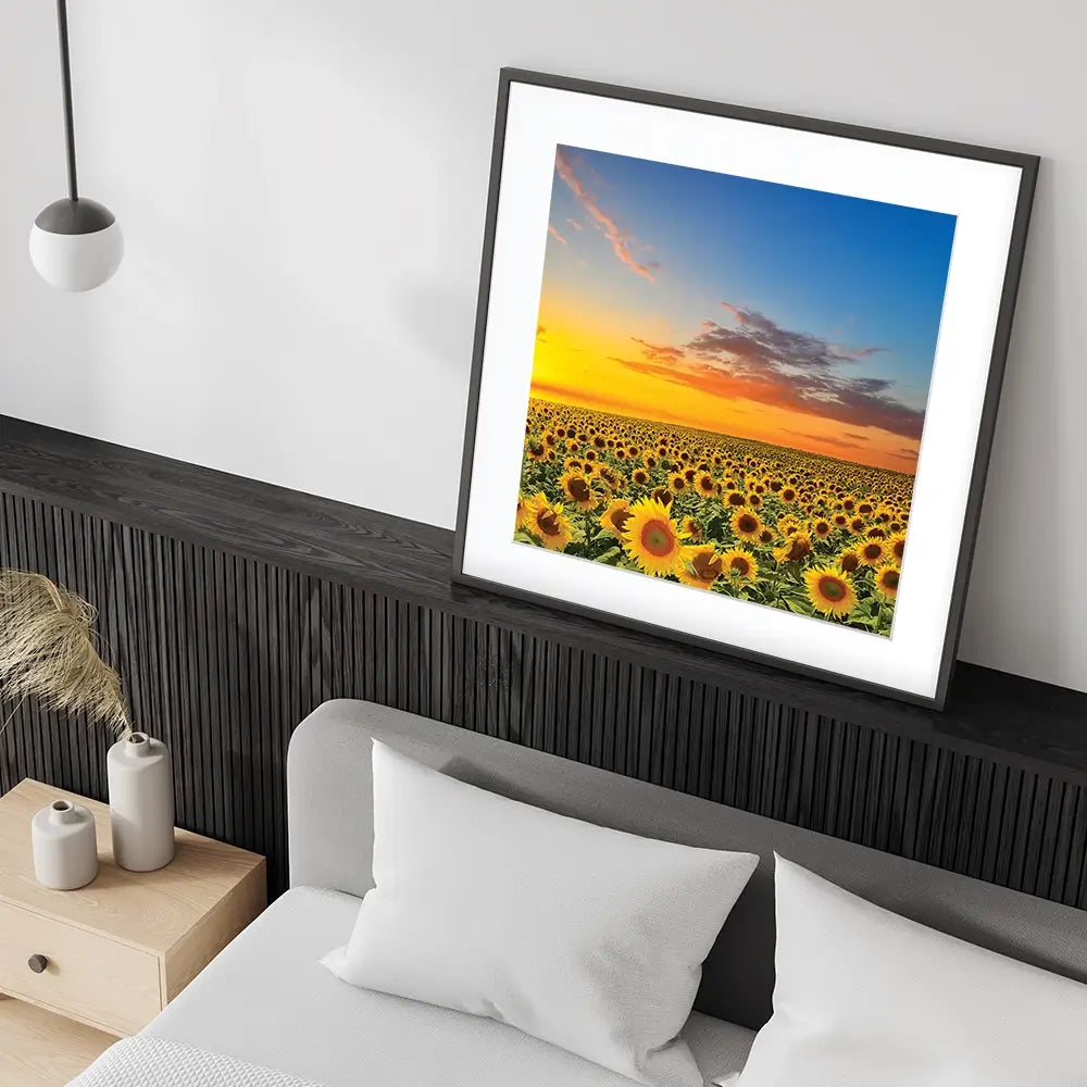 Field Of Blooming Sunflowers Square Framed Art Print Field Of Blooming Sunflowers Square Framed Art Print wall art product gornjak / Shutterstock