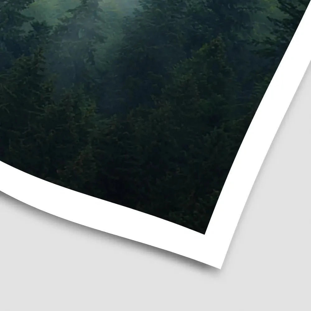 Fir Forest Art Print Fir Forest Art Print wall art product Roxana Bashyrova / Shutterstock