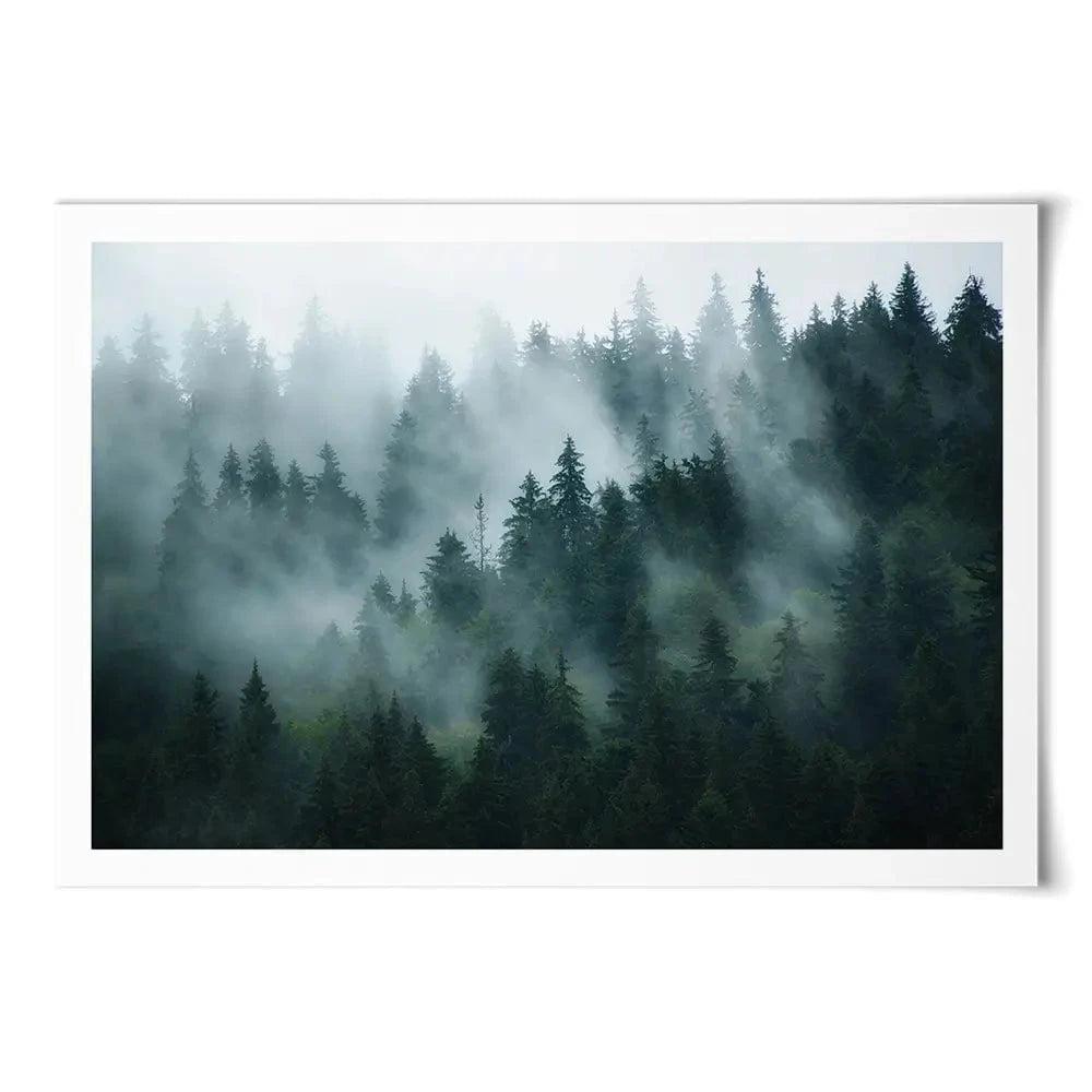 Fir Forest Art Print Fir Forest Art Print wall art product Roxana Bashyrova / Shutterstock