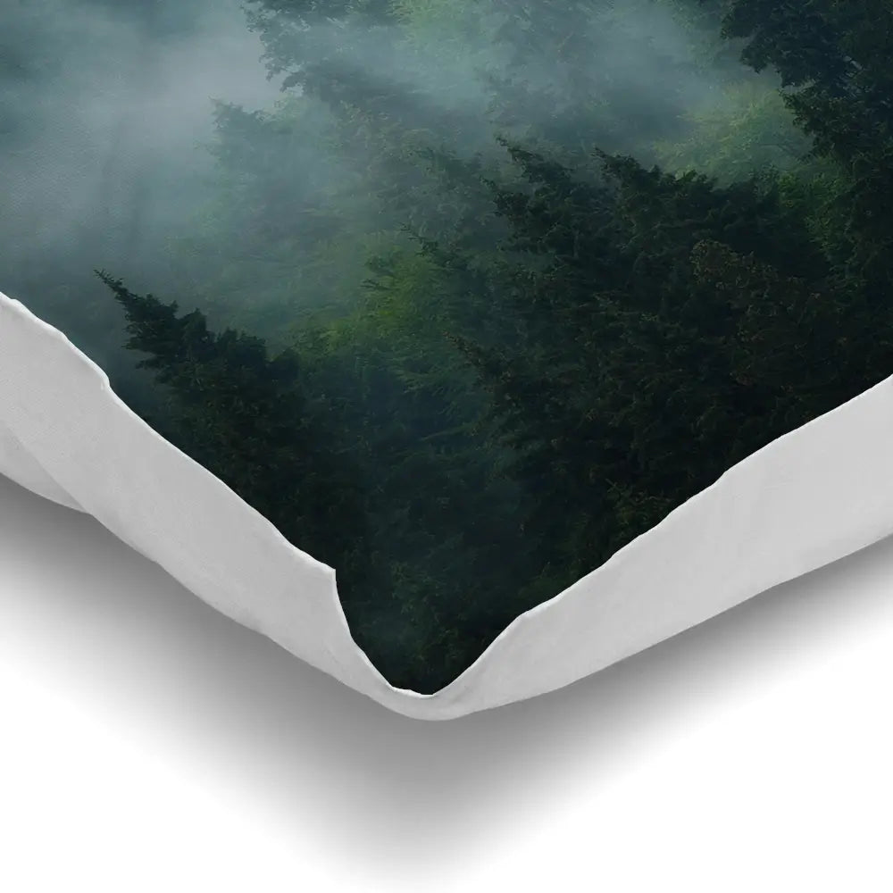 Fir Forest Cushion Fir Forest Cushion wall art product Roxana Bashyrova / Shutterstock