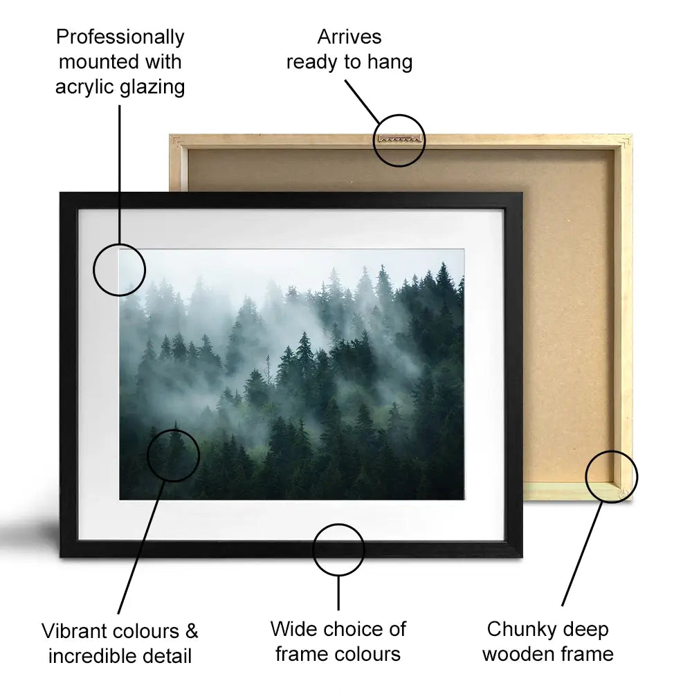 Fir Forest Framed Art Print Fir Forest Framed Art Print wall art product Roxana Bashyrova / Shutterstock