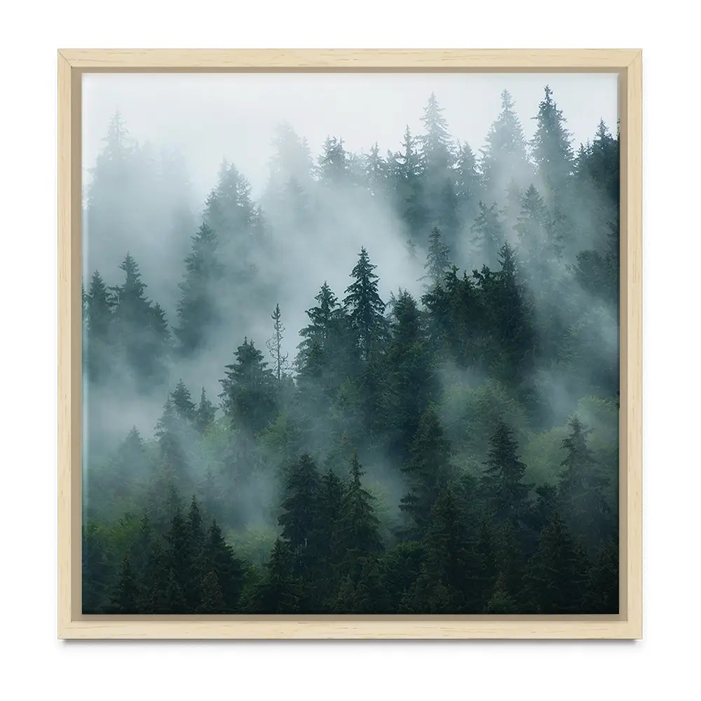 Fir Forest Oversized Canvas Print Fir Forest Oversized Canvas Print wall art product Art Print Shop