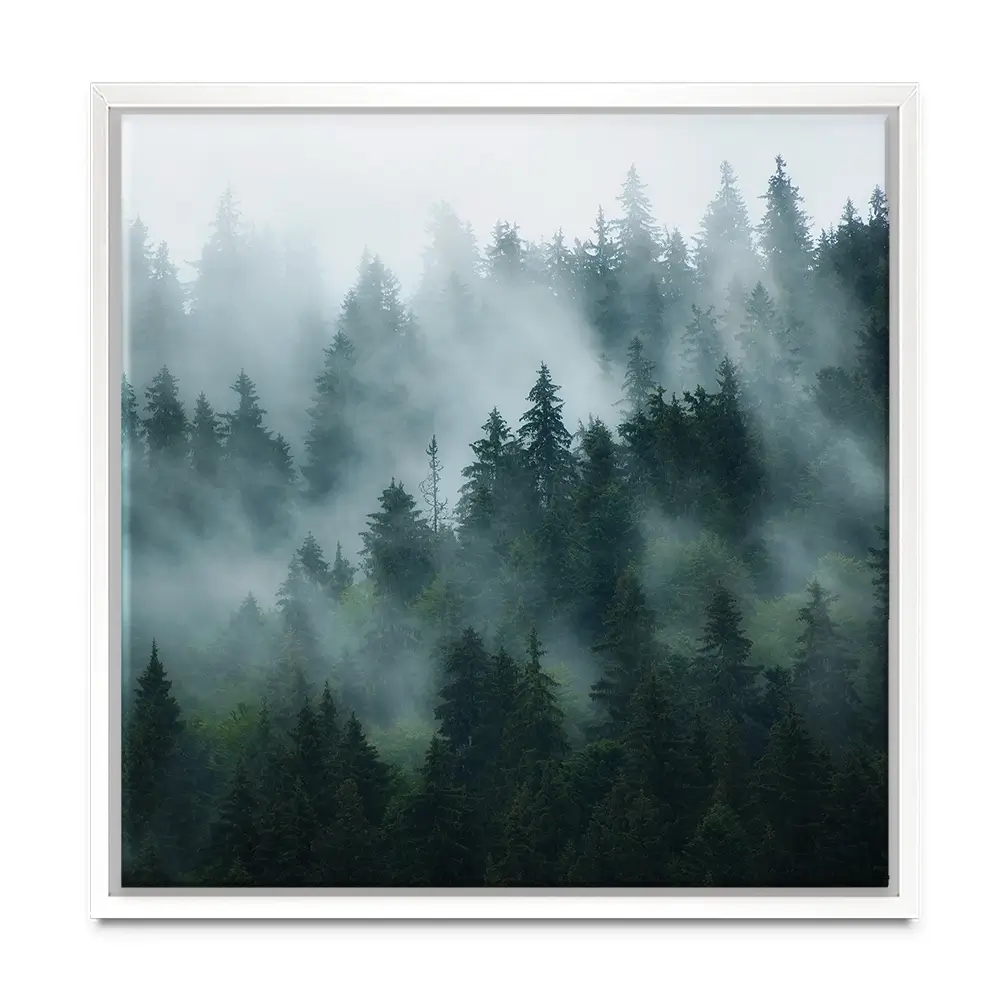 Fir Forest Square Canvas Print Fir Forest Square Canvas Print wall art product Roxana Bashyrova / Shutterstock