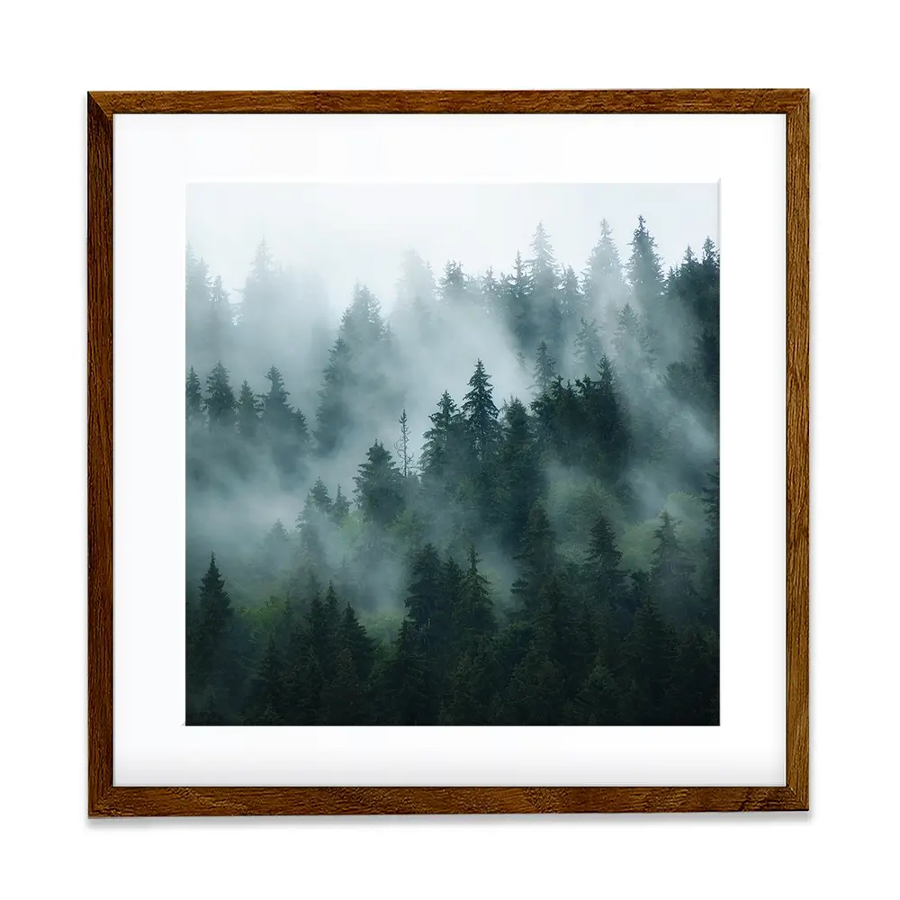 Fir Forest Square Framed Art Print Fir Forest Square Framed Art Print wall art product Roxana Bashyrova / Shutterstock