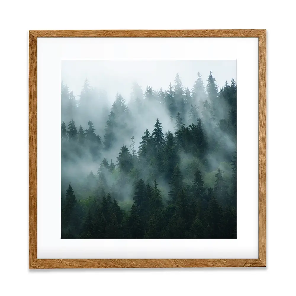 Fir Forest Square Framed Art Print Fir Forest Square Framed Art Print wall art product Roxana Bashyrova / Shutterstock