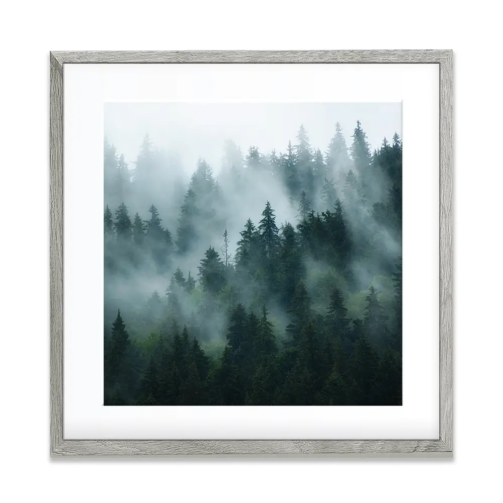 Fir Forest Square Framed Art Print Fir Forest Square Framed Art Print wall art product Roxana Bashyrova / Shutterstock