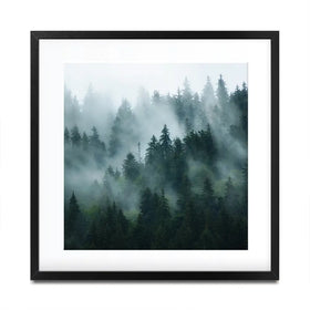Fir Forest Square Framed Art Print Fir Forest Square Framed Art Print wall art product Roxana Bashyrova / Shutterstock