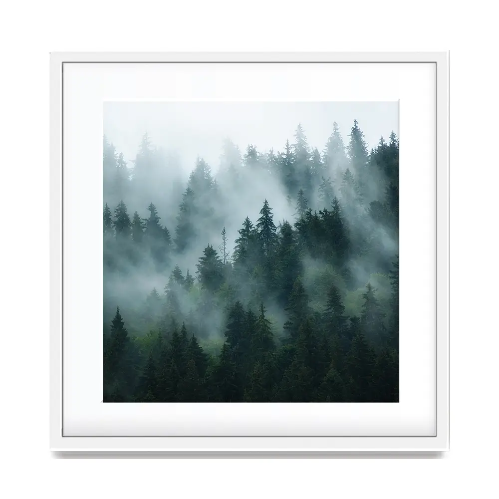 Fir Forest Square Framed Art Print Fir Forest Square Framed Art Print wall art product Roxana Bashyrova / Shutterstock