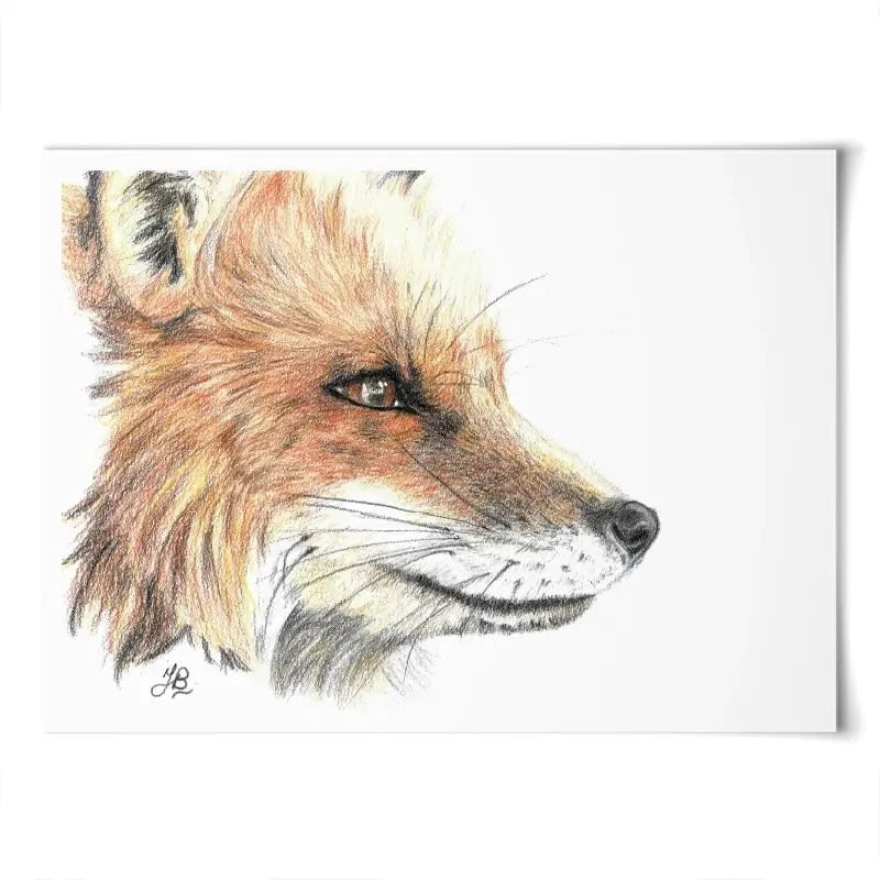 Fox Illustration Art Print Fox Illustration Art Print wall art product Jackie Bridges