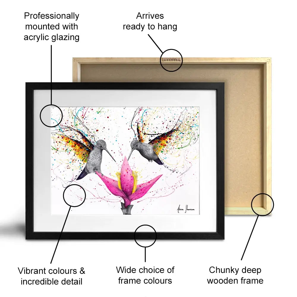 Friendship Hummingbirds Framed Art Print Friendship Hummingbirds Framed Art Print wall art product Ashvin Harrison (2016-2022 collection)