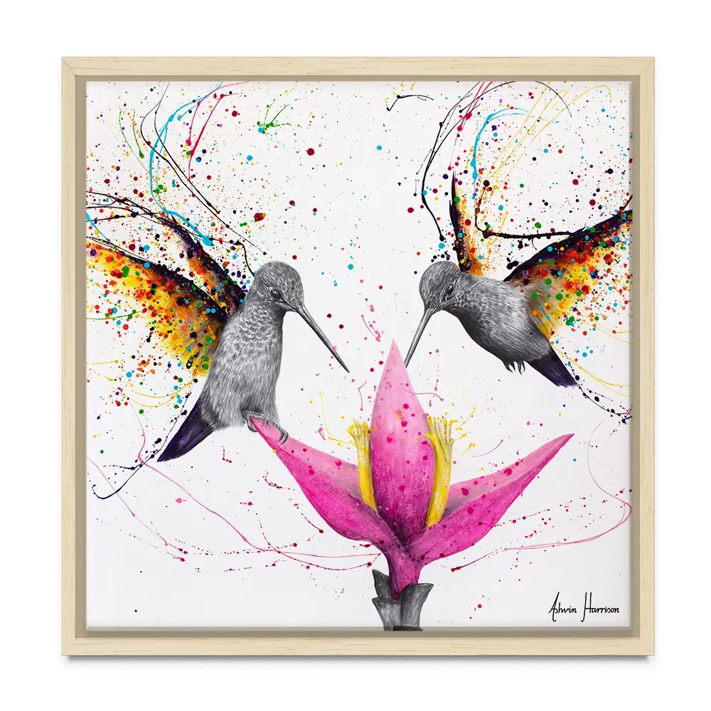 Friendship Hummingbirds Square Canvas Print Friendship Hummingbirds Square Canvas Print wall art product Ashvin Harrison