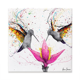 Friendship Hummingbirds Square Canvas Print Friendship Hummingbirds Square Canvas Print wall art product Ashvin Harrison