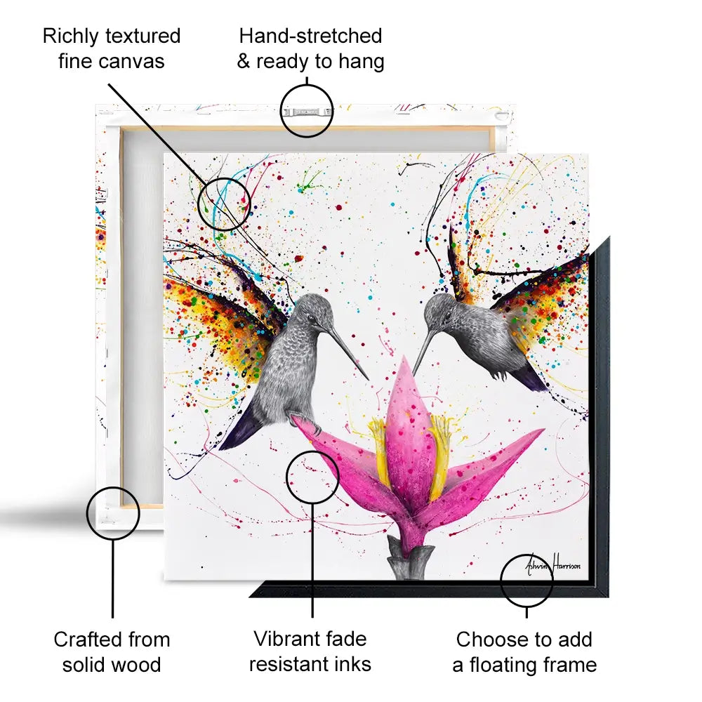 Friendship Hummingbirds Square Canvas Print Friendship Hummingbirds Square Canvas Print wall art product Ashvin Harrison (2016-2022 collection)