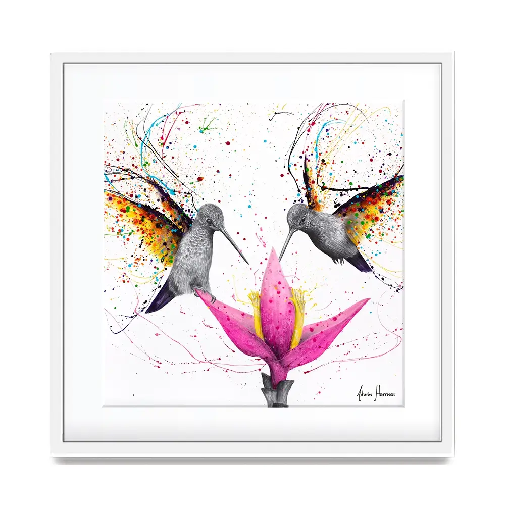 Friendship Hummingbirds Square Framed Art Print Friendship Hummingbirds Square Framed Art Print wall art product Ashvin Harrison