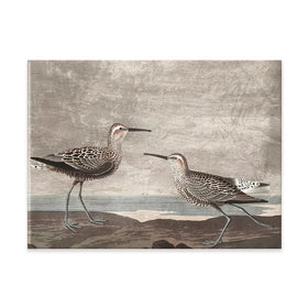 Gilded Sandpipers Canvas Print Gilded Sandpipers Canvas Print wall art product John James Audubon