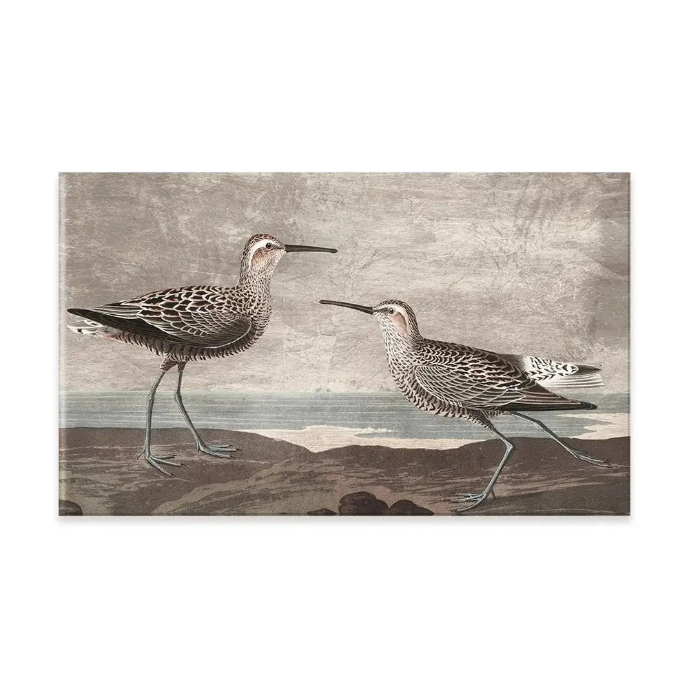 Gilded Sandpipers Canvas Print Gilded Sandpipers Canvas Print wall art product John James Audubon