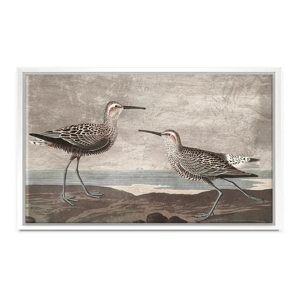 Gilded Sandpipers Canvas Print Gilded Sandpipers Canvas Print wall art product John James Audubon