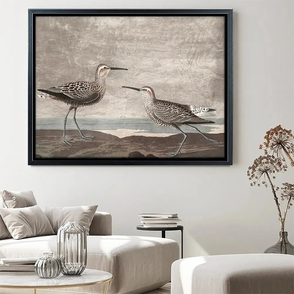 Gilded Sandpipers Canvas Print Gilded Sandpipers Canvas Print wall art product John James Audubon