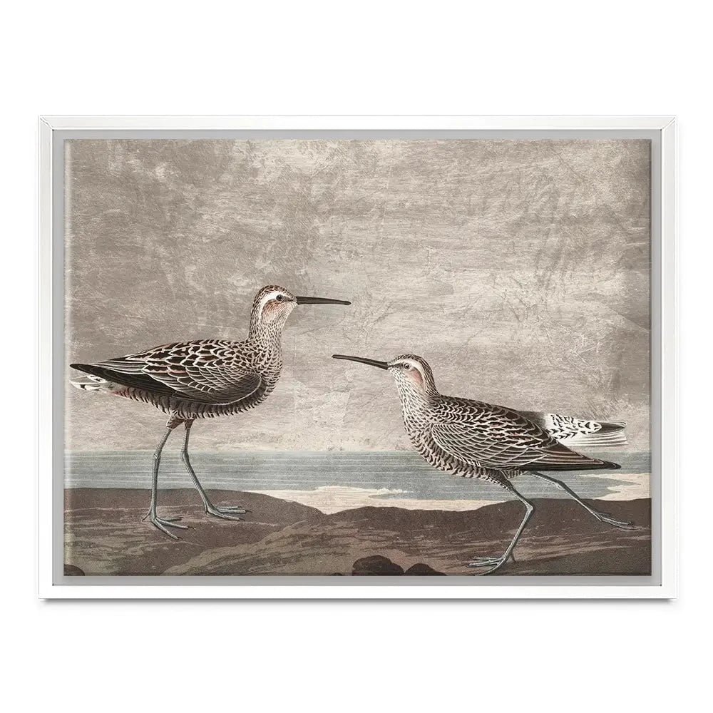Gilded Sandpipers Canvas Print Gilded Sandpipers Canvas Print wall art product John James Audubon