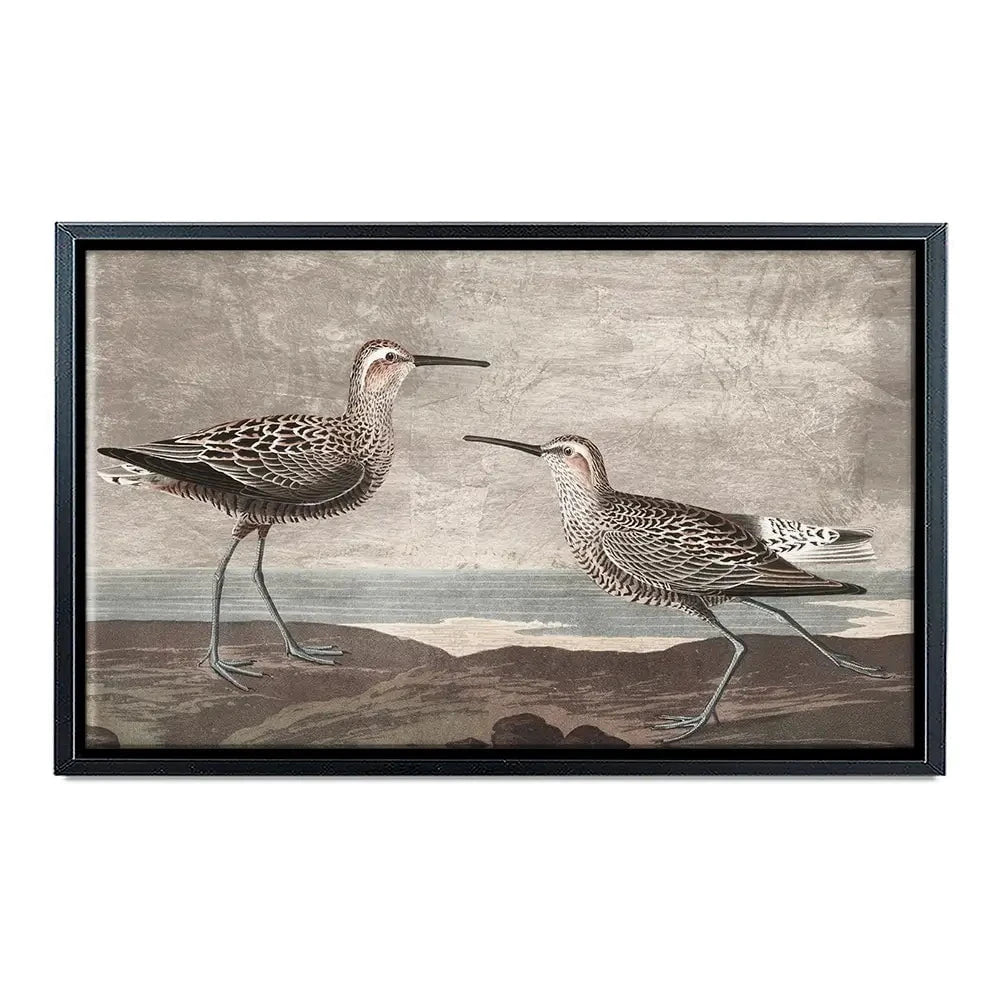 Gilded Sandpipers Canvas Print Gilded Sandpipers Canvas Print wall art product John James Audubon
