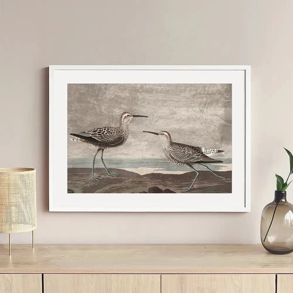 Gilded Sandpipers Framed Art Print Gilded Sandpipers Framed Art Print wall art product John James Audubon