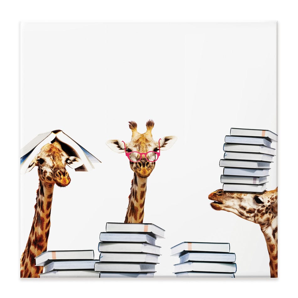 Giraffes With Books Square Canvas Print wall art product Sergey Novikov / Shutterstock