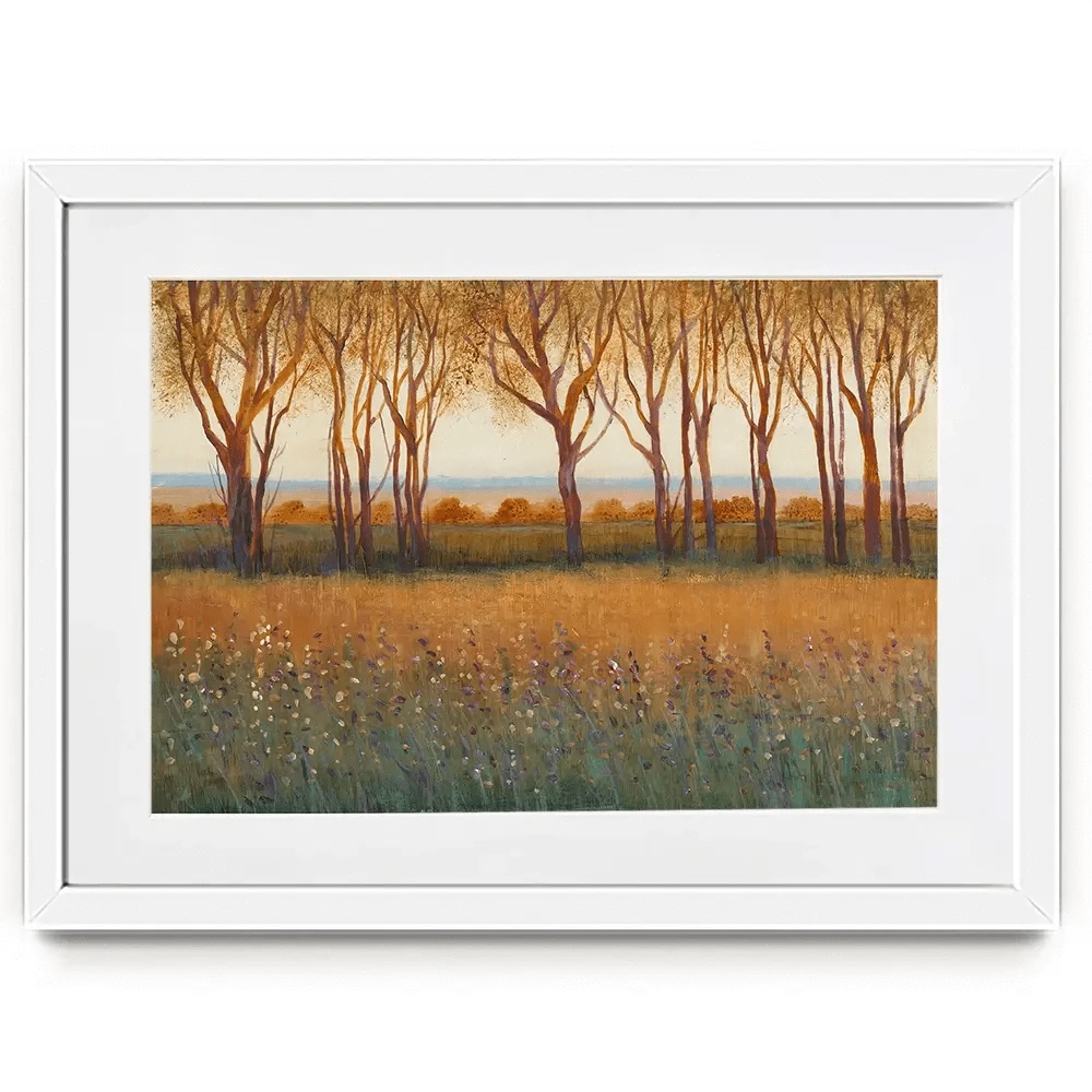 Glow In The Afternoon Framed Art Print Glow In The Afternoon Framed Art Print wall art product Tim O'Toole