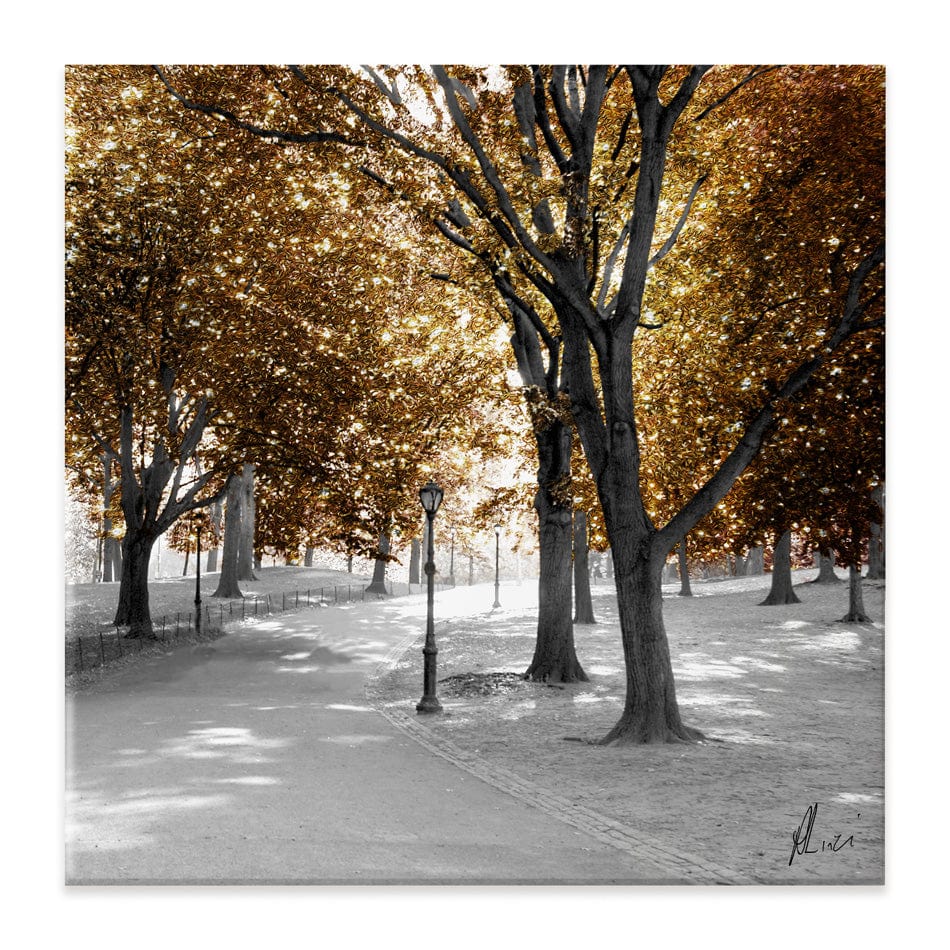 Gold Path Canvas Print wall art product Aimee Linzi