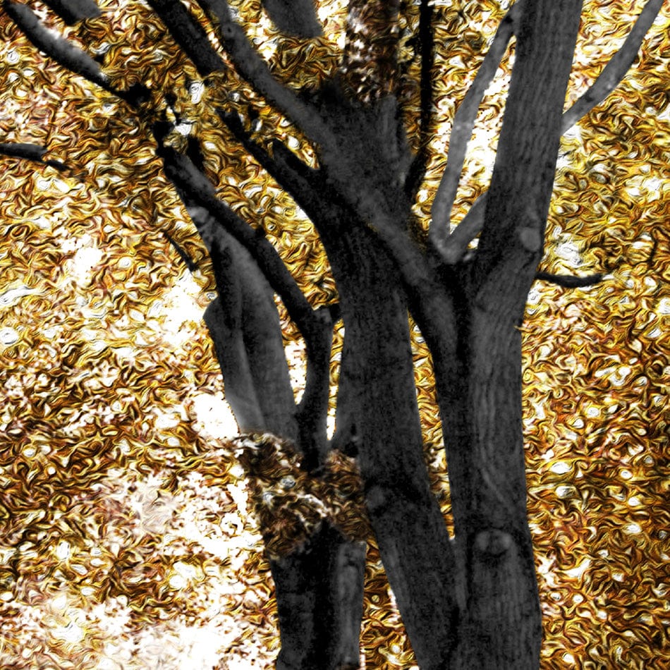 Gold Path Canvas Print wall art product Aimee Linzi