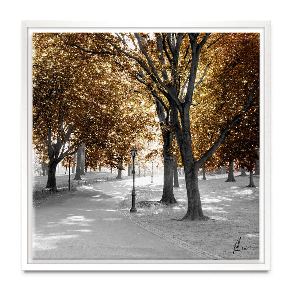 Gold Path Canvas Print wall art product Aimee Linzi