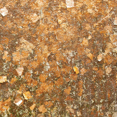 Golden Leaf Wall Square Canvas Print wall art product djero.adlibeshe yahoo.com / Shutterstock