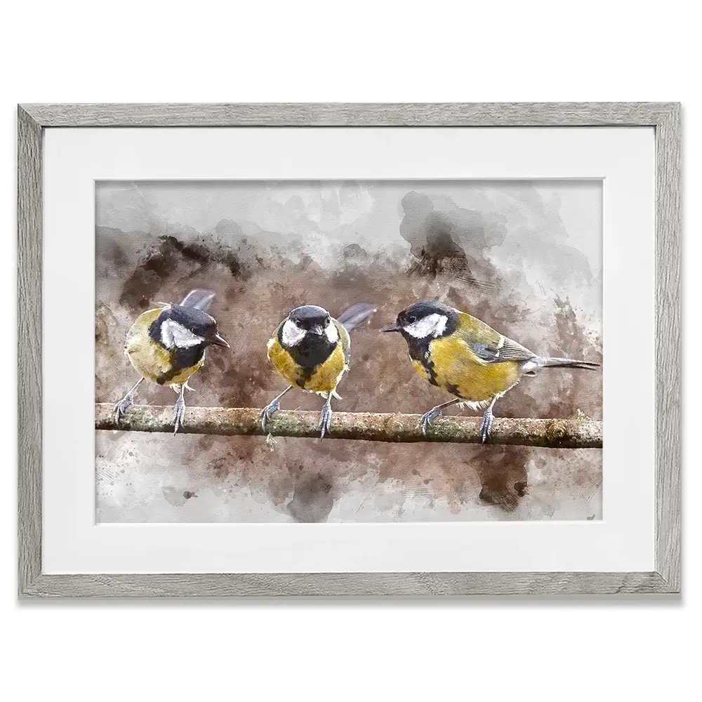 Great Tits Framed Art Print Great Tits Framed Art Print wall art product Matt Gibson / Shutterstock