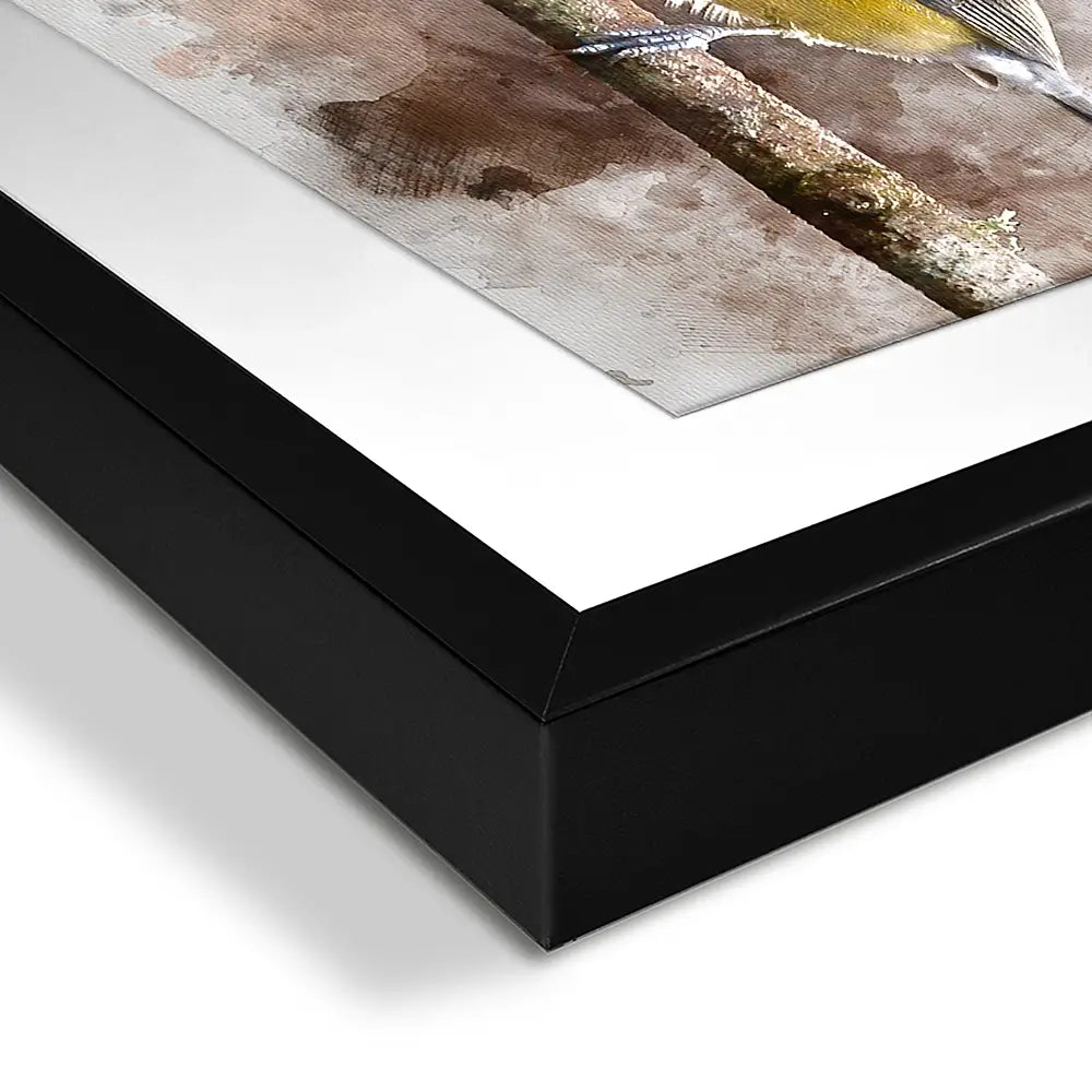 Great Tits Framed Art Print Great Tits Framed Art Print wall art product Matt Gibson / Shutterstock