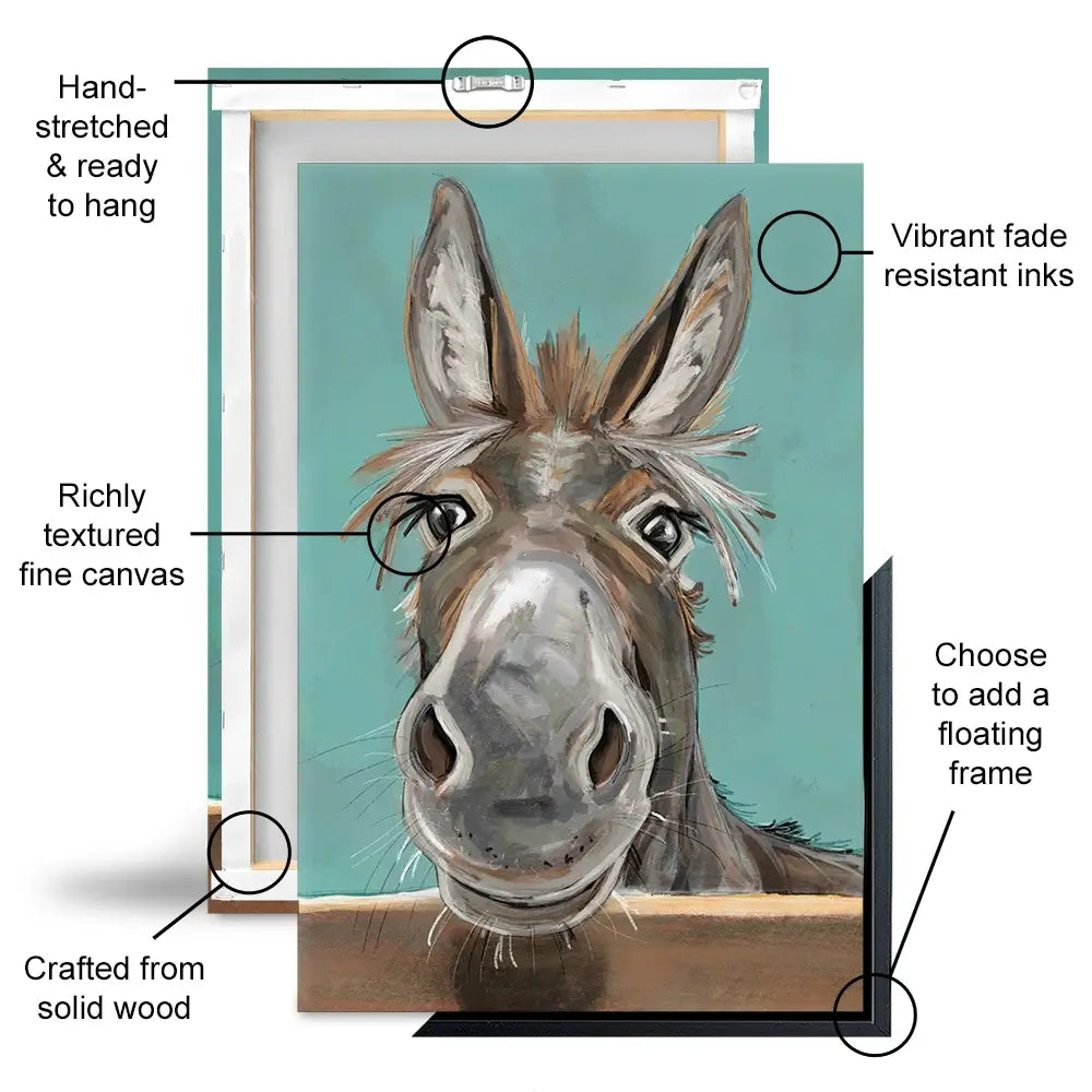 Happy Donkey Canvas Print Happy Donkey Canvas Print wall art product D Mosconi