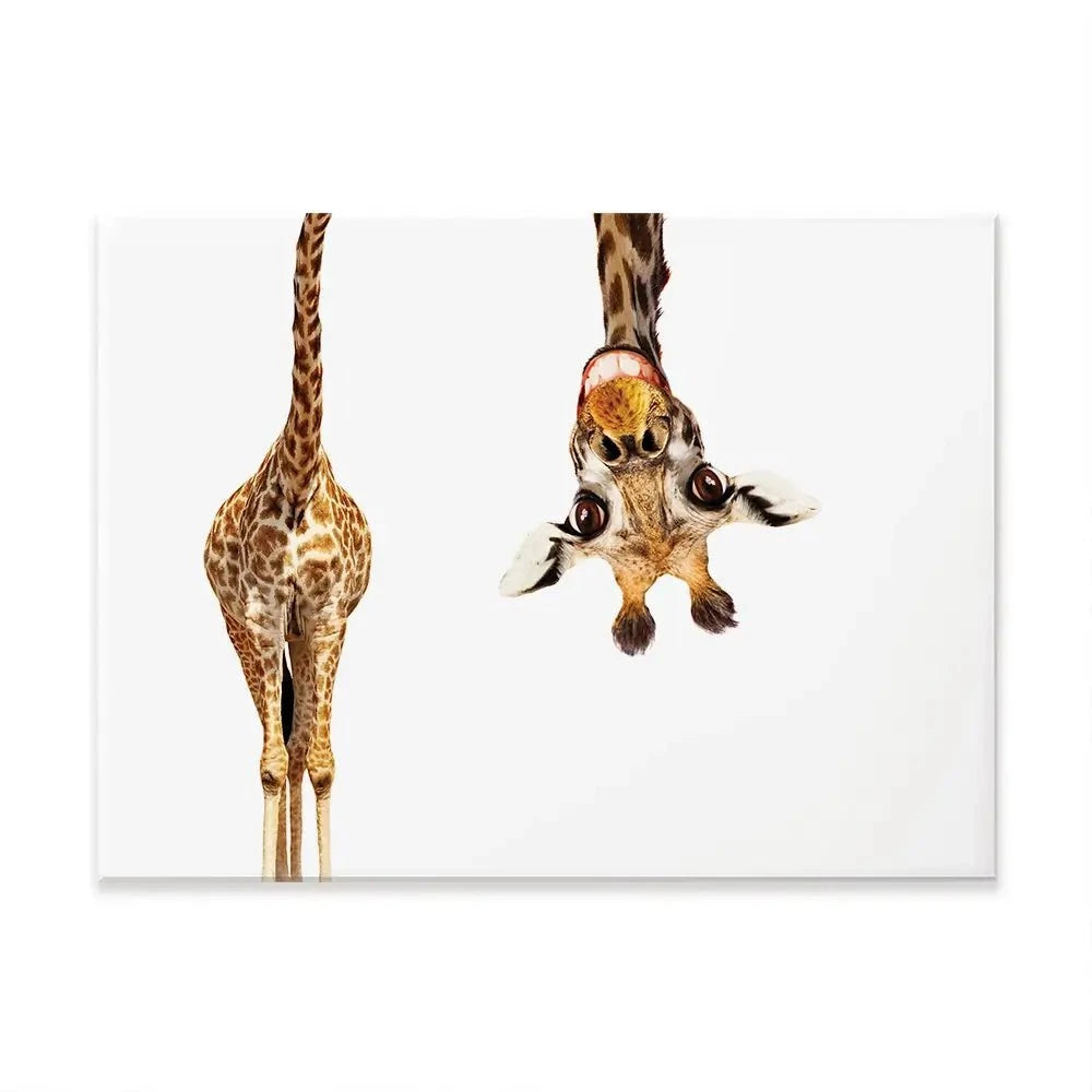 Happy Upside Down Giraffe Canvas Print Happy Upside Down Giraffe Canvas Print wall art product Sergey Novikov / Shutterstock