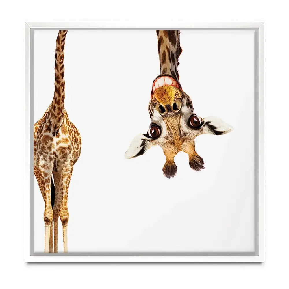 Happy Upside Down Giraffe Oversized Canvas Print Happy Upside Down Giraffe Oversized Canvas Print wall art product Art Print Shop