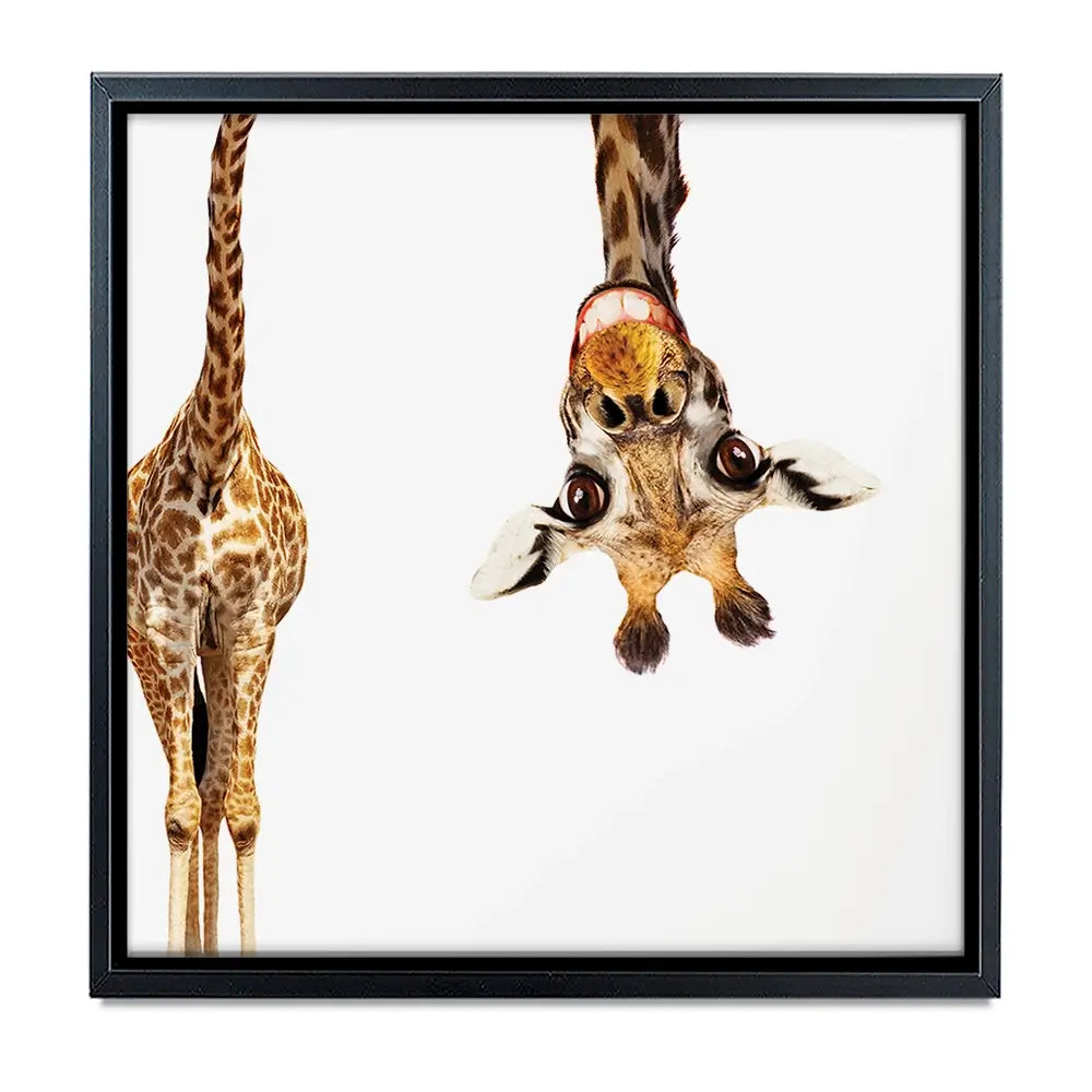 Happy Upside Down Giraffe Oversized Canvas Print Happy Upside Down Giraffe Oversized Canvas Print wall art product Art Print Shop