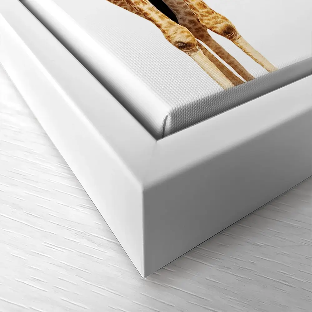 Happy Upside Down Giraffe Square Canvas Print Happy Upside Down Giraffe Square Canvas Print wall art product Sergey Novikov / Shutterstock