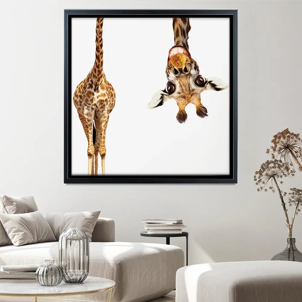 Happy Upside Down Giraffe Square Canvas Print Happy Upside Down Giraffe Square Canvas Print wall art product Sergey Novikov / Shutterstock