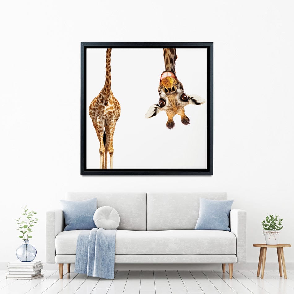 Happy Upside Down Giraffe Square Canvas Print wall art product Sergey Novikov / Shutterstock