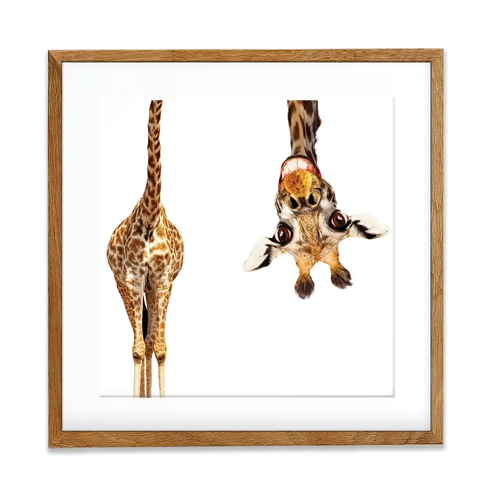 Happy Upside Down Giraffe Square Framed Art Print Happy Upside Down Giraffe Square Framed Art Print wall art product Sergey Novikov / Shutterstock