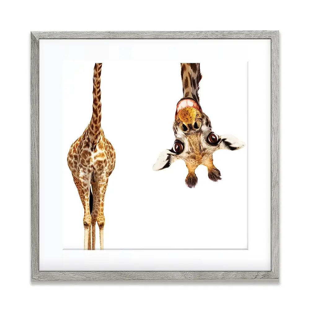 Happy Upside Down Giraffe Square Framed Art Print Happy Upside Down Giraffe Square Framed Art Print wall art product Sergey Novikov / Shutterstock