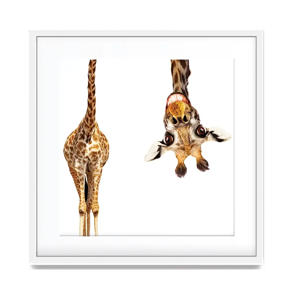 Happy Upside Down Giraffe Square Framed Art Print Happy Upside Down Giraffe Square Framed Art Print wall art product Sergey Novikov / Shutterstock