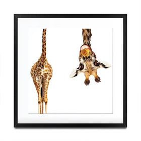 Happy Upside Down Giraffe Square Framed Art Print Happy Upside Down Giraffe Square Framed Art Print wall art product Sergey Novikov / Shutterstock
