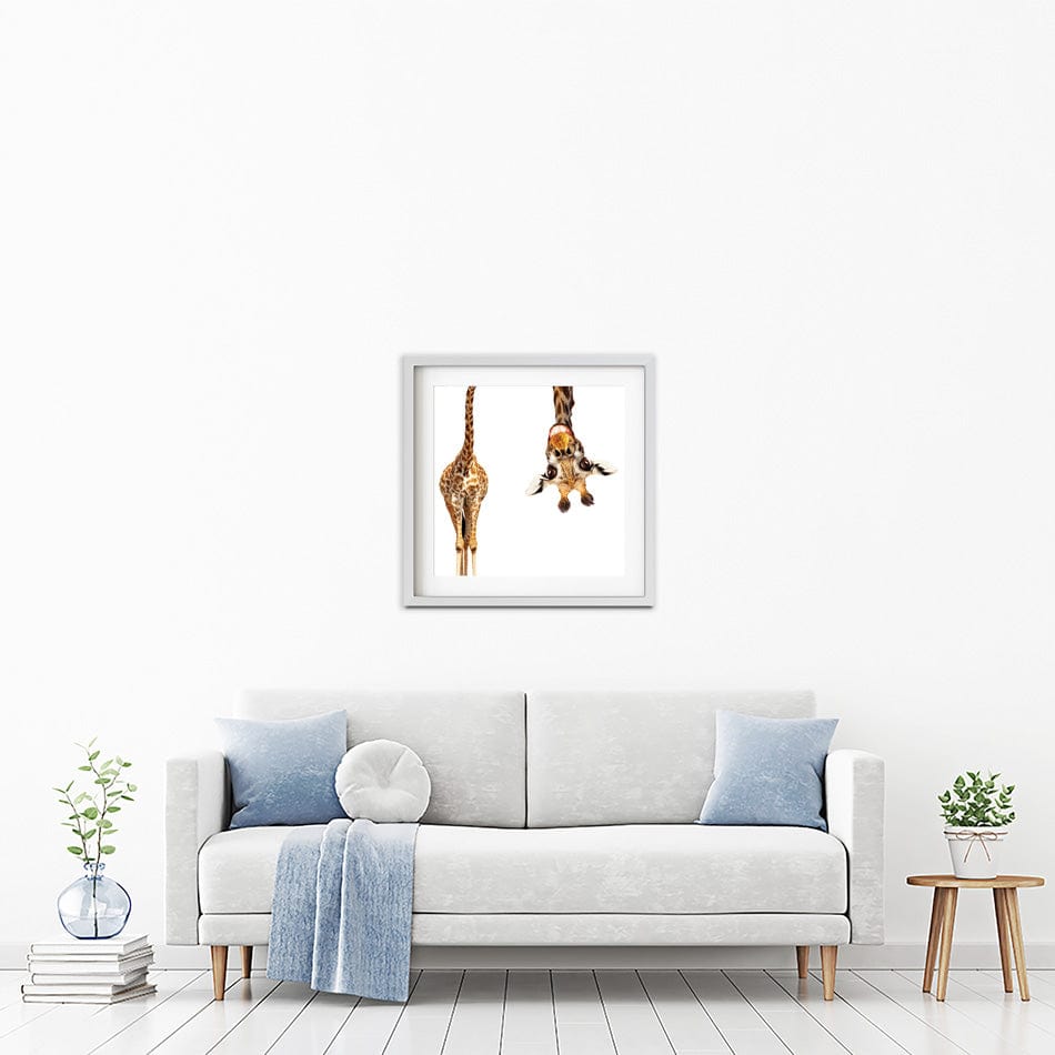 Happy Upside Down Giraffe Square Framed Art Print wall art product Sergey Novikov / Shutterstock